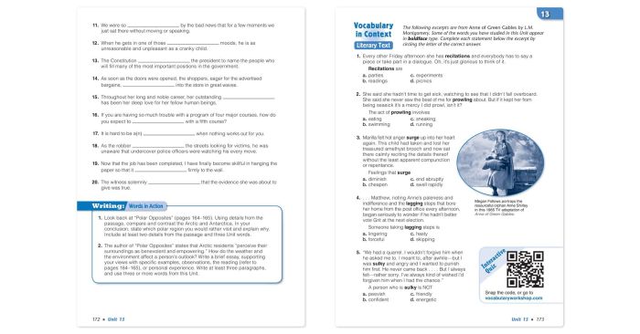 Vocabulary workshop unit 13 level e