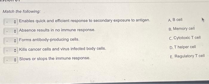 Absence results in no immune response