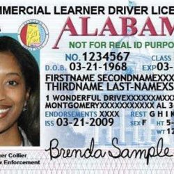 Alabama cdl permit test answers