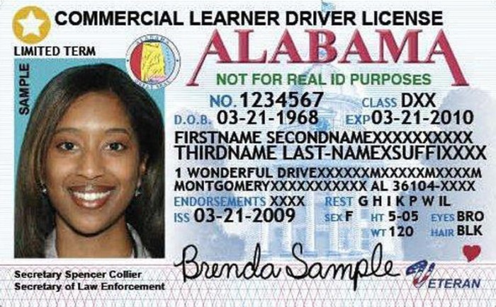 Alabama cdl permit test answers