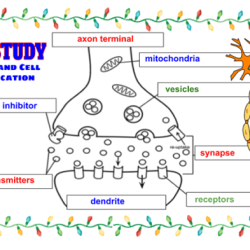 Case study celiac disease answers