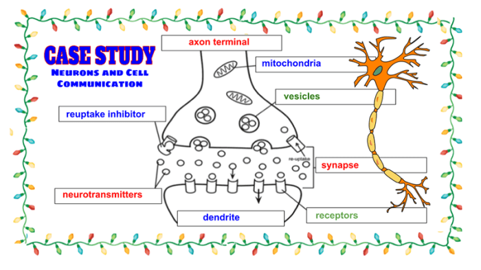 Case study celiac disease answers