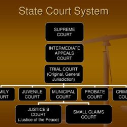 Court system and structure crossword answers