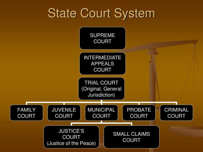 Court system and structure crossword answers