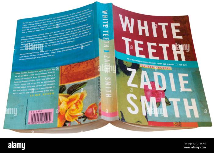 Accidental hero by zadie smith