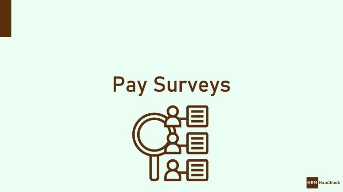 Compensation survey positioning