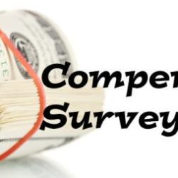 Compensation survey gauge surveys