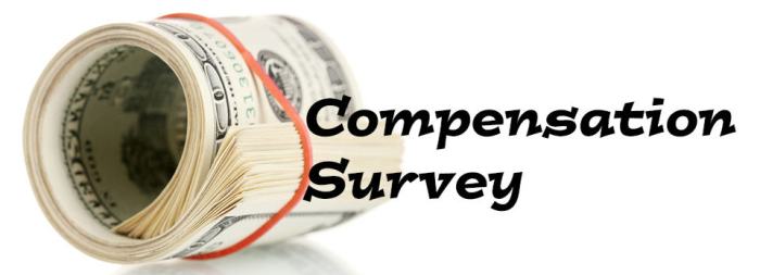 Compensation survey gauge surveys