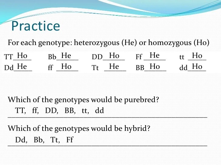 Which of the genotypes in #1 would be considered purebred