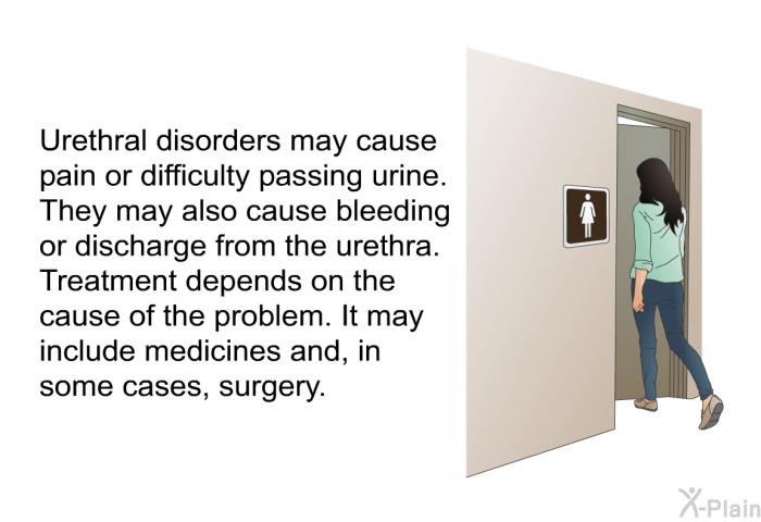 Urethrorrhea is bleeding from the urethra