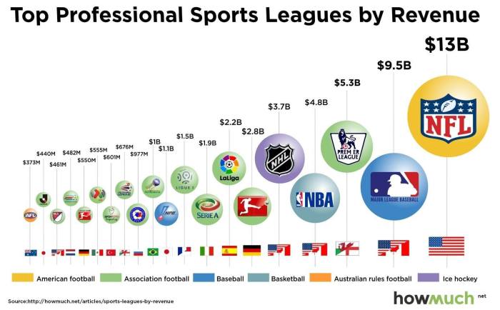 For the major professional sport leagues and associations sponsorships involve